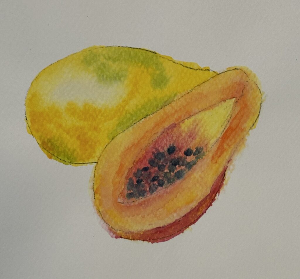 watercolor papaya