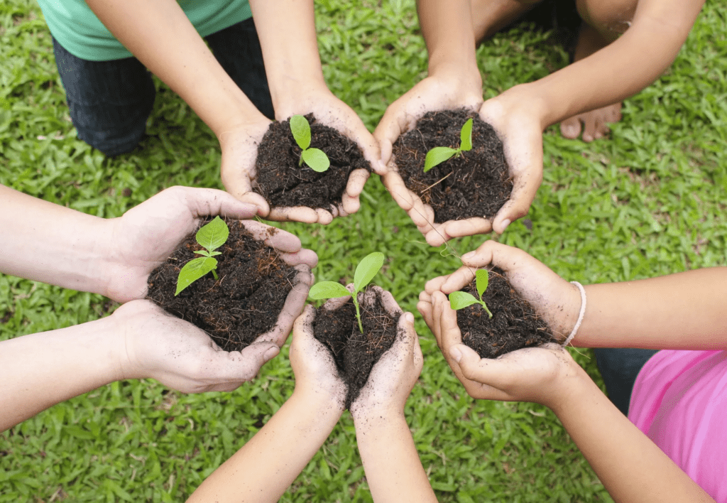 Five sets of children's hands holding plants with seedlings